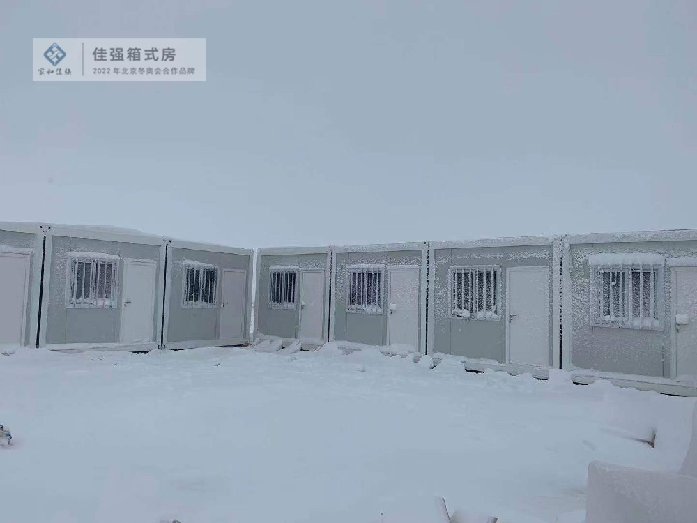 蒙古项目